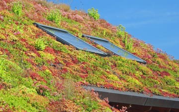 Langham living roof systems